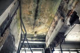 Best Comprehensive Air Testing for Mold Contaminants  in Macopin, NJ